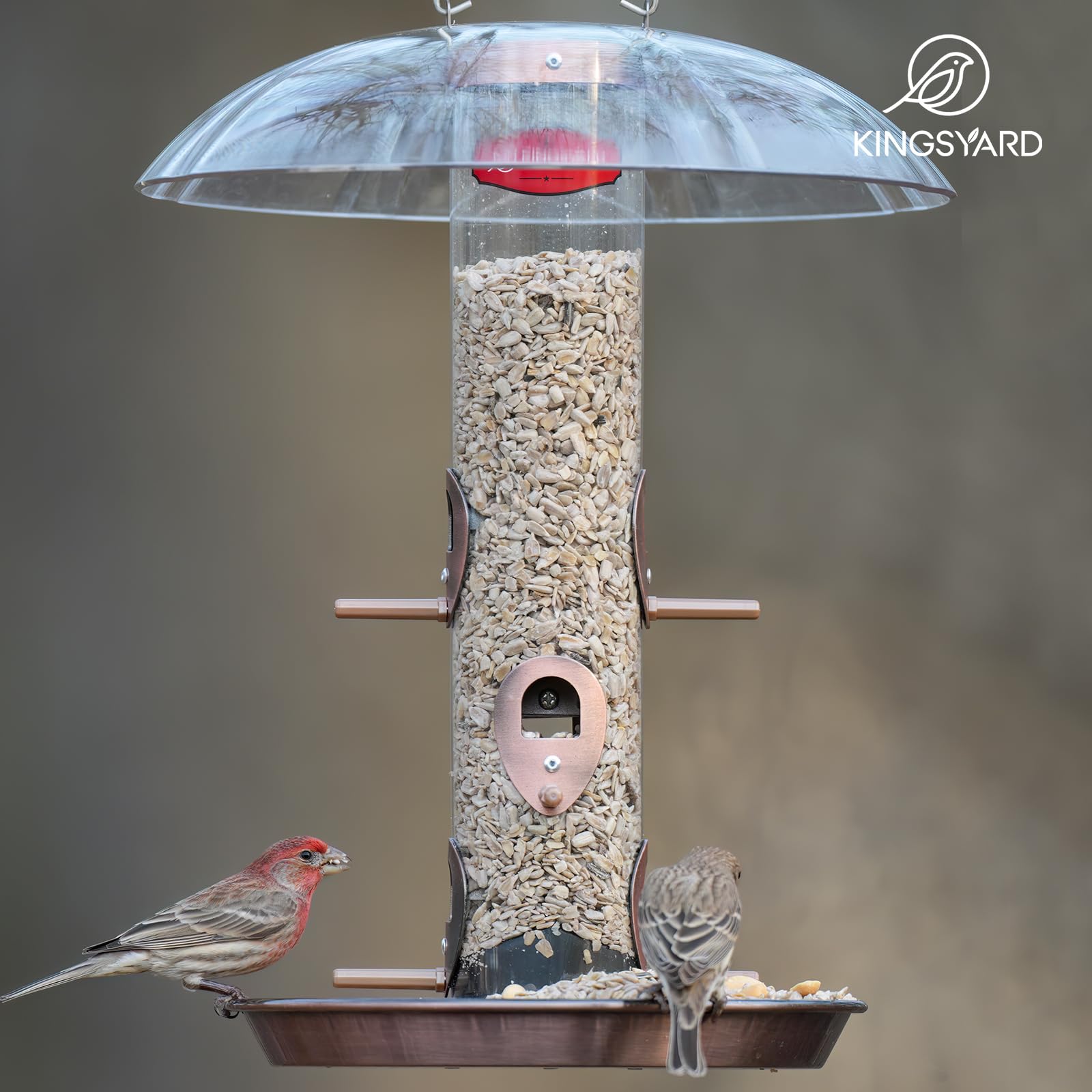 Kingsyard hanging feeder near window invites peaceful backyard birdwatching.
