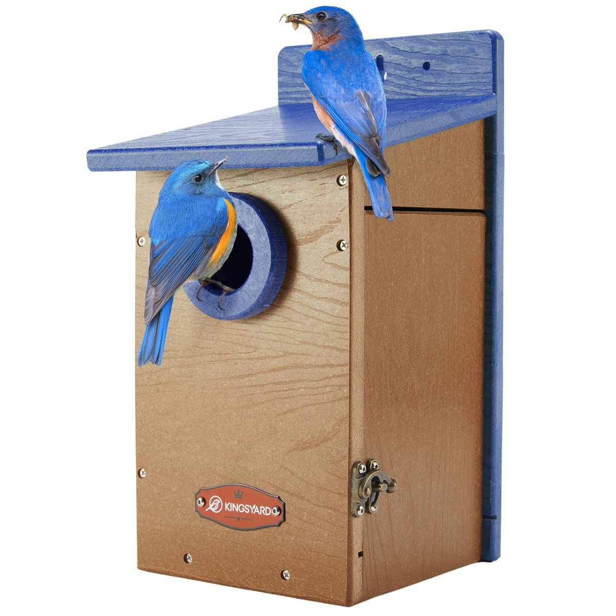 Kingsyard bird house with blue-brown clear view panel for easy monitoring of nests.