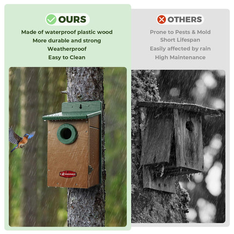 Kingsyard bird house showing ventilation holes for healthy airflow