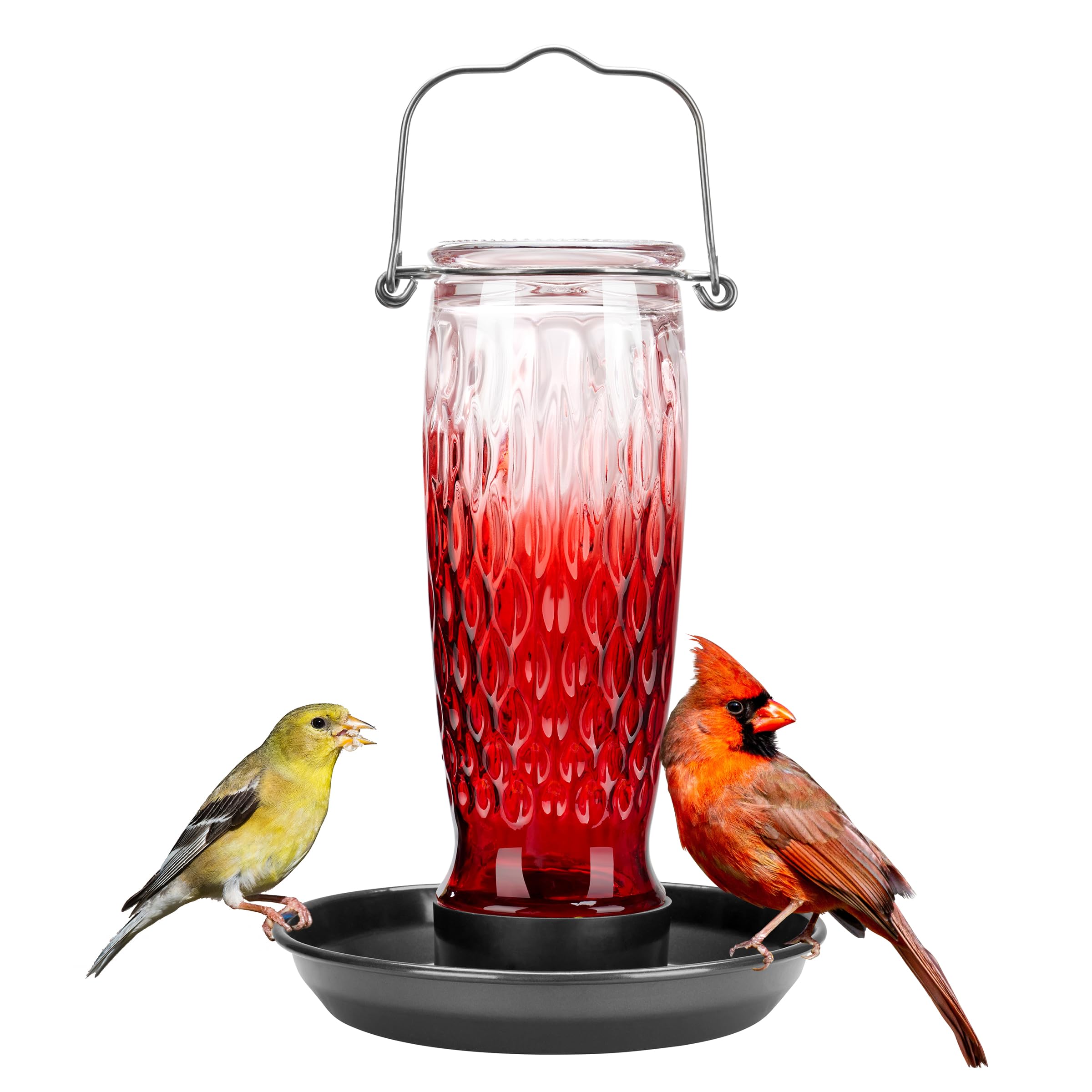 Kingsyard bird water feeder outside with glass container and perch-friendly tray for yard birds.