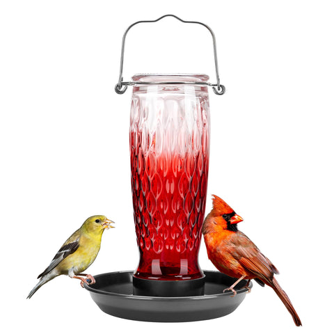 Kingsyard bird water feeder outside with glass container and perch-friendly tray for yard birds.