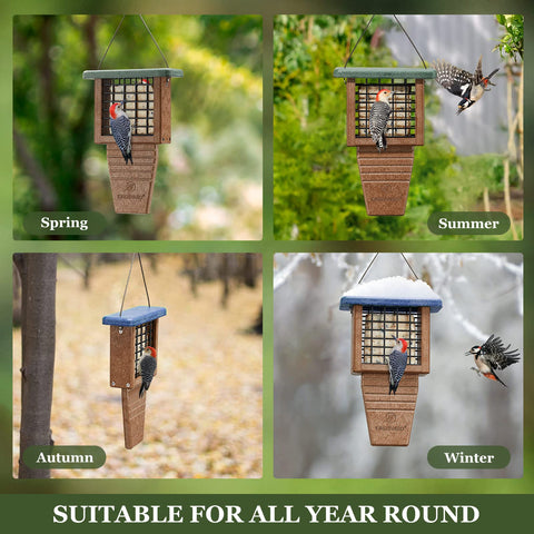 Kingsyard blue-finish suet feeder enhances garden decor while feeding birds