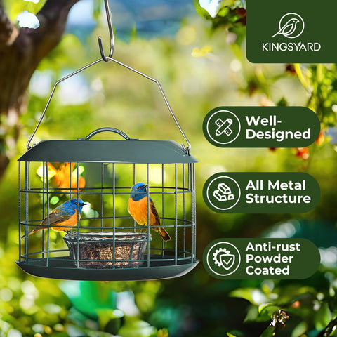Kingsyard all-metal cage feeder shows durable, squirrel-resistant construction for backyard birds