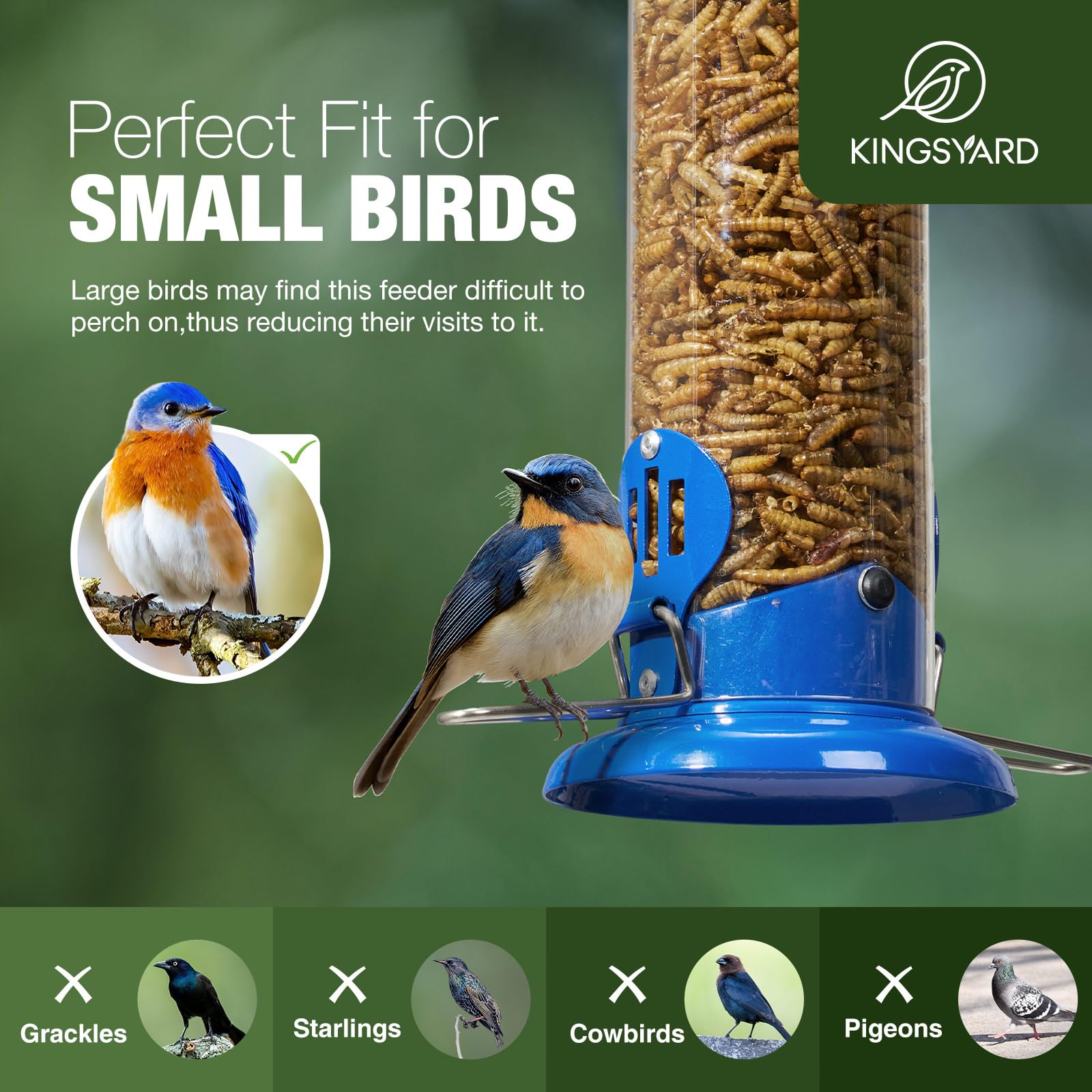 Kingsyard Bluebird Feeder anti-squirrel design helps protect mealworms.