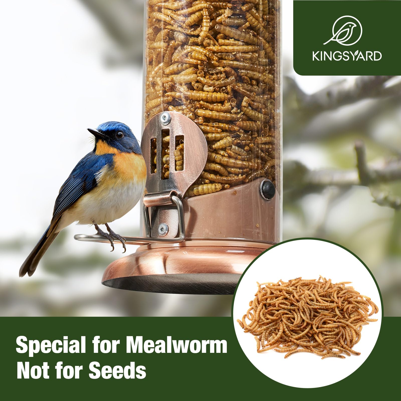 Bottom drainage holes prevent moisture buildup in Kingsyard feeder