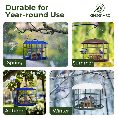 Kingsyard Bluebird Feeder with drainage tray prevents water buildup, keeping food dry