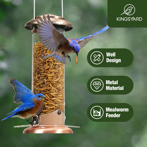 Easy-refill top lid on Kingsyard Bluebird Feeder for quick replenishment