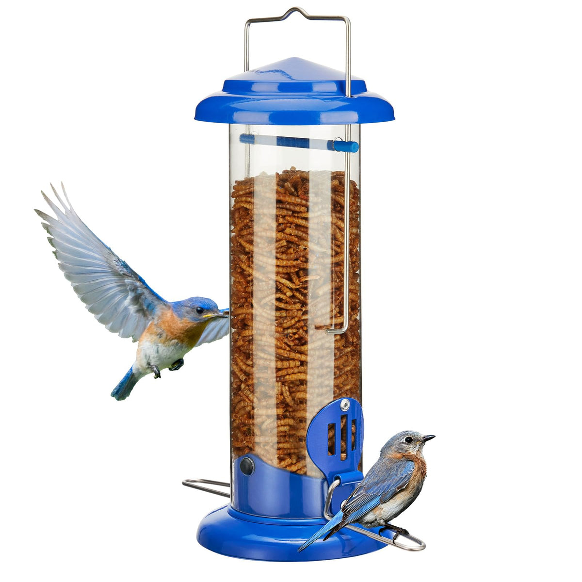 Kingsyard Bluebird Feeder with mealworm port attracts small birds.