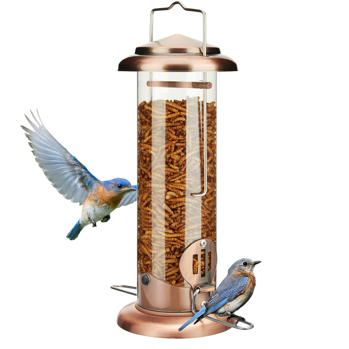 Kingsyard Bluebird Feeder copper finish attracts small songbirds outdoors