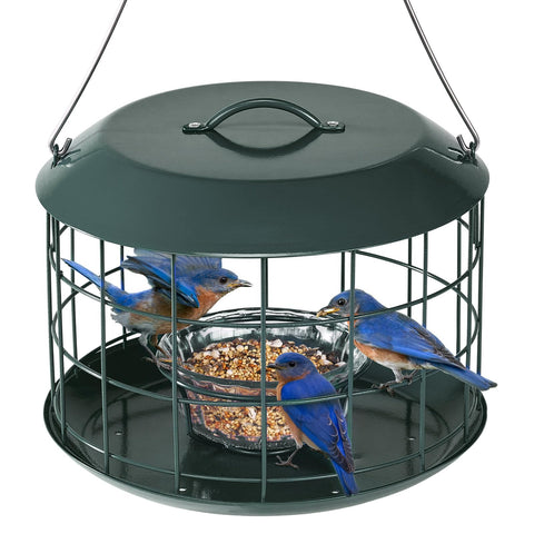 Kingsyard Bluebird Feeder outdoor hanging design supports safe bluebird feeding all season