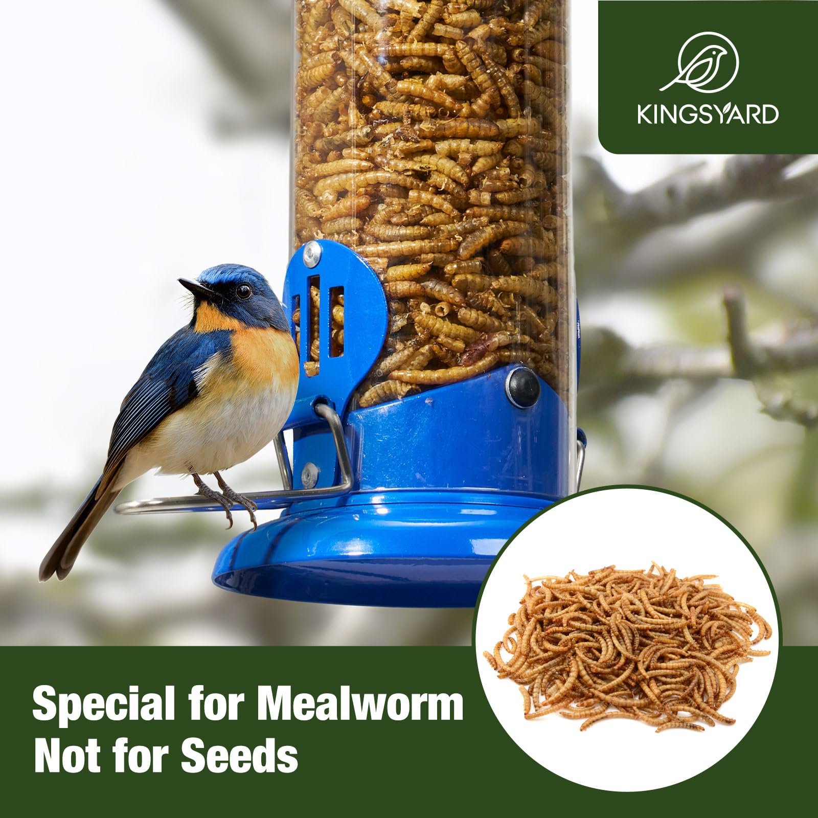 Kingsyard Bluebird Feeder protective coating enables all-season use.