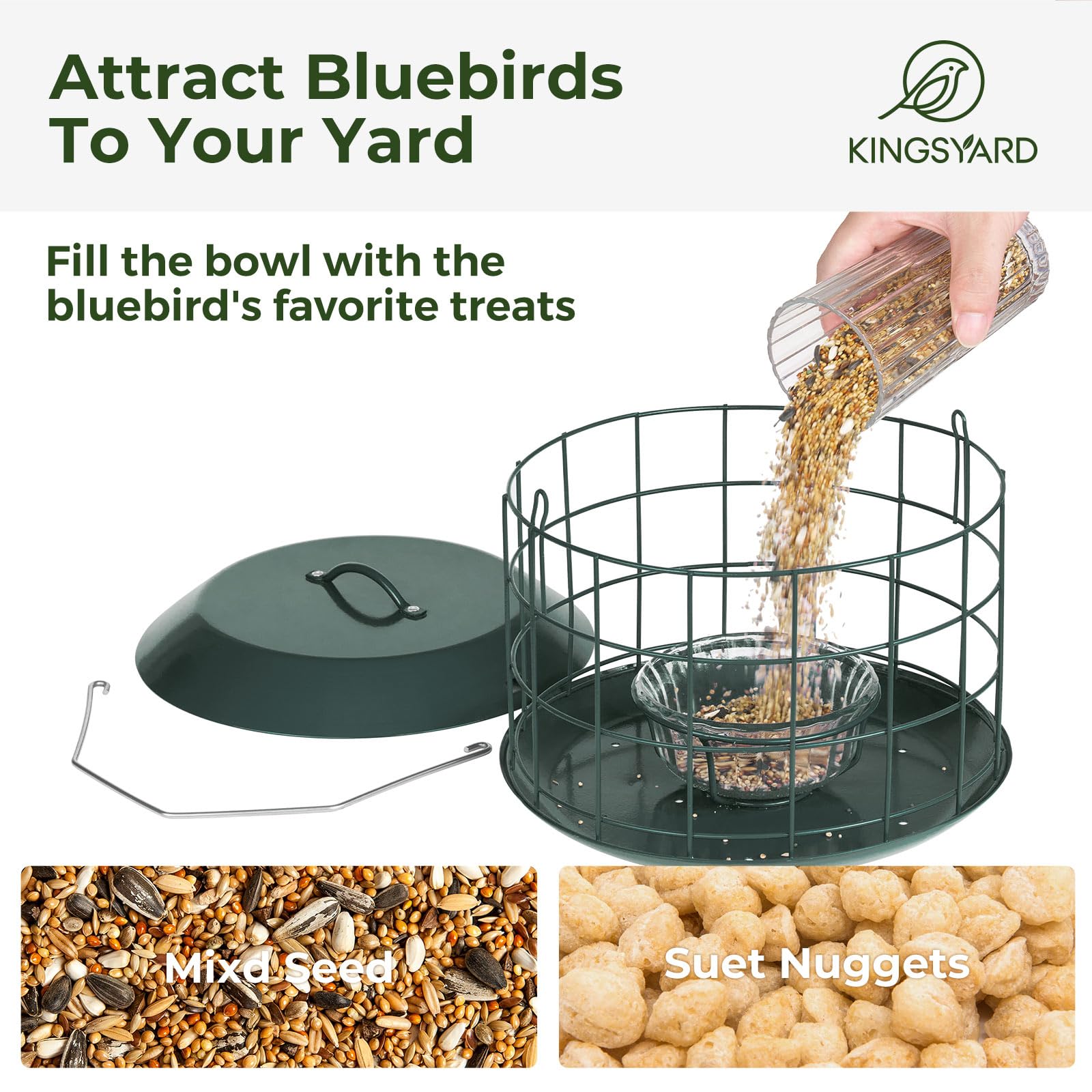 Kingsyard Bluebird Feeder with tray keeps mealworms and seeds organized for visiting birds