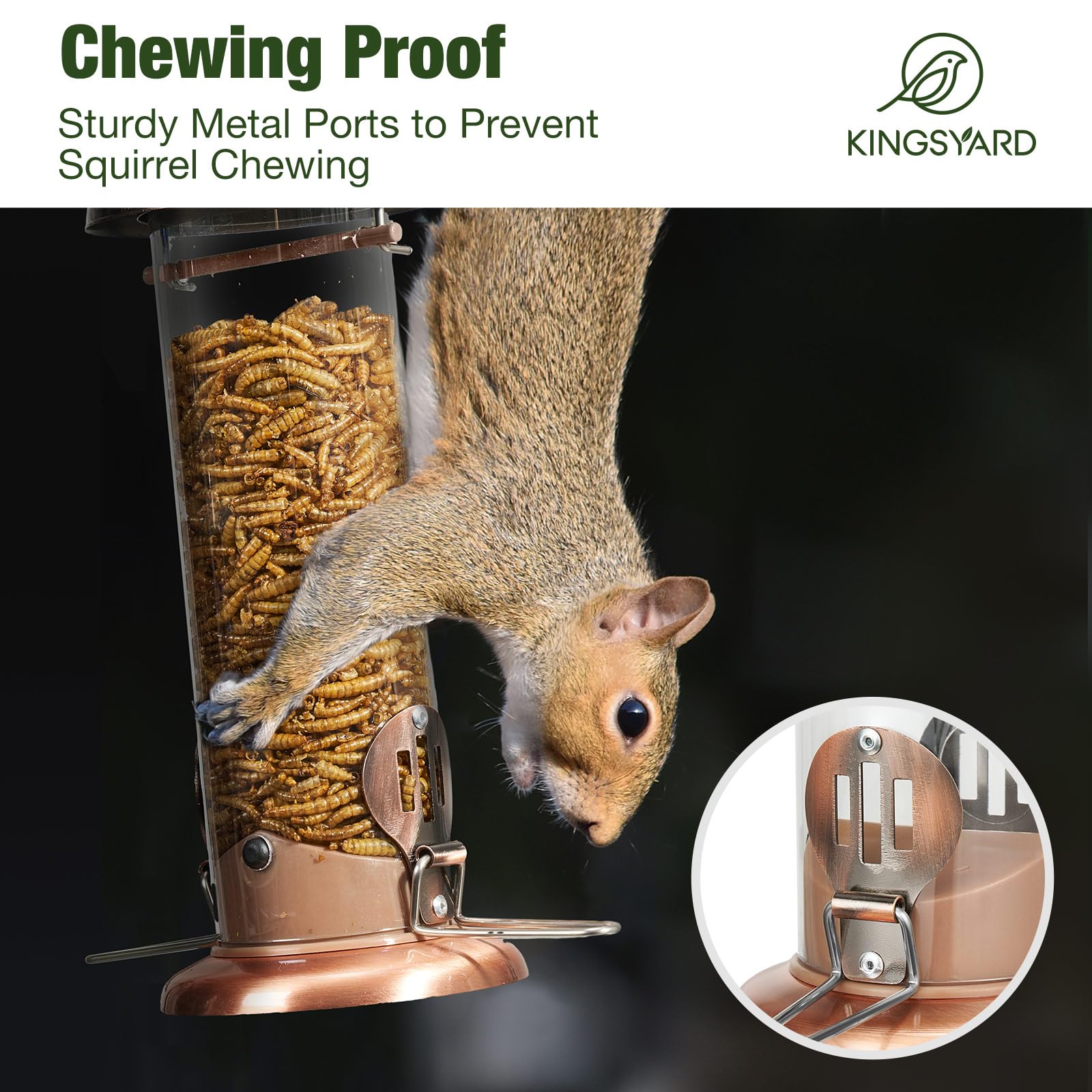 Weather-protective coating keeps mealworms dry in Kingsyard feeder