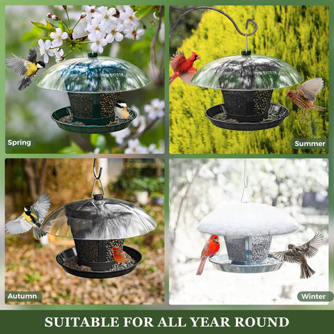Kingsyard bottom-tray drainage keeps seeds fresh and dry