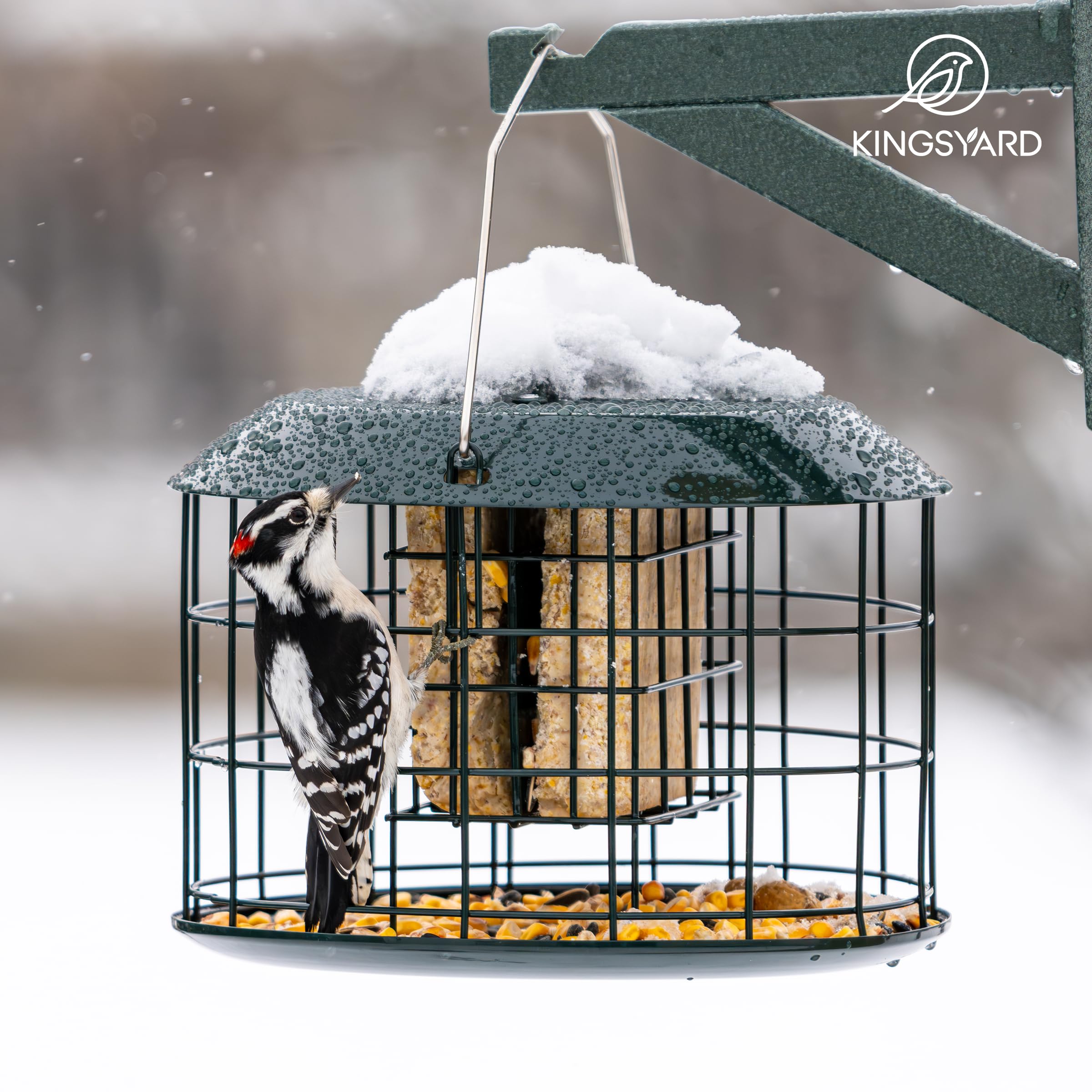 Kingsyard cage-style feeder safely supports downy woodpeckers and small birds.
