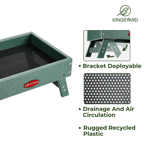 Kingsyard multi-use feeder doubles as a chicken feeder outdoors.