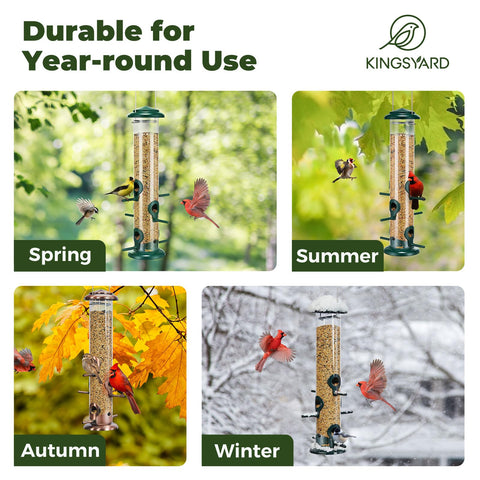 Kingsyard clear seed tube lets you monitor levels at a glance.