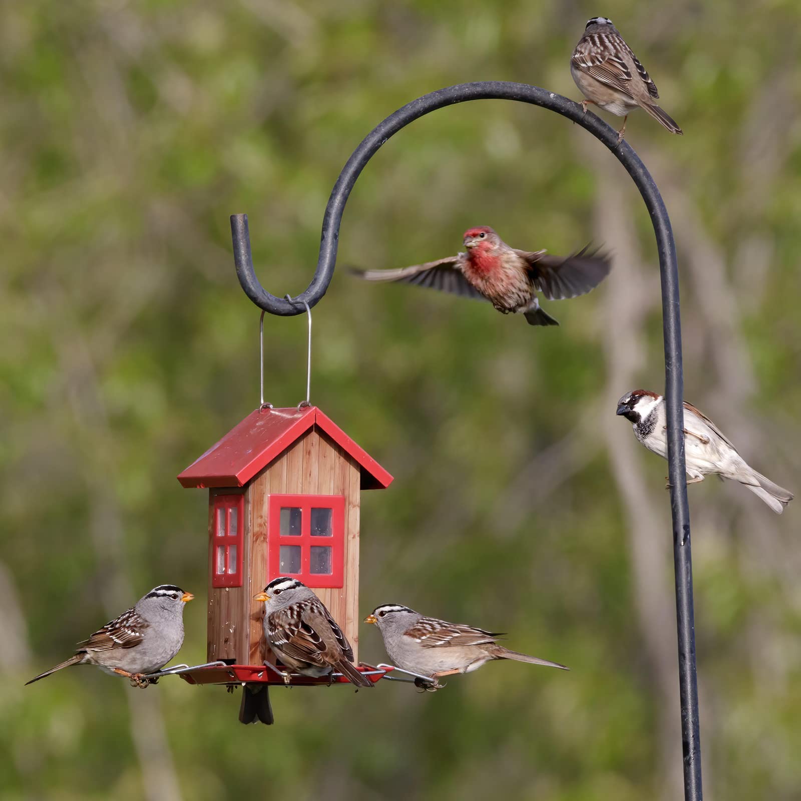 Kingsyard Cute Bird House Feeder Garden gift idea for nature lovers