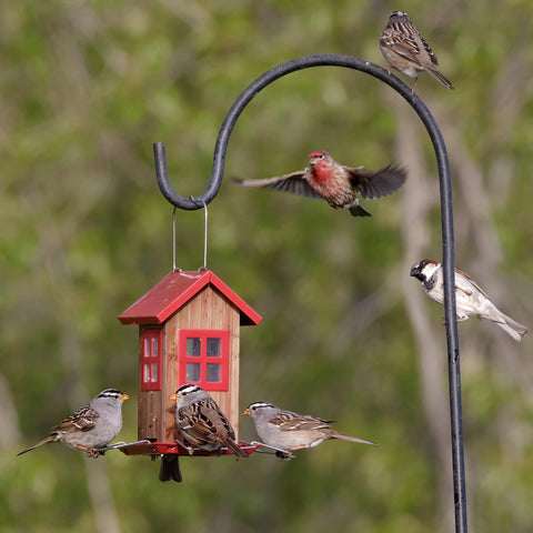 Kingsyard Cute Bird House Feeder Garden gift idea for nature lovers