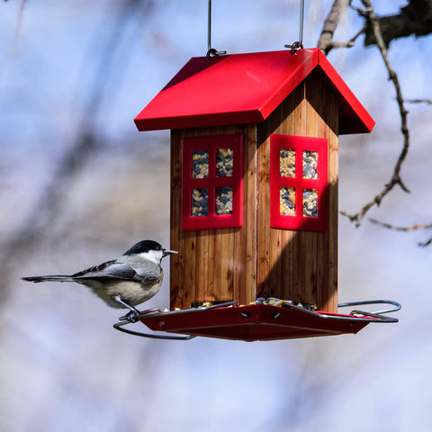 Kingsyard Cute Bird House Feeder Transparent Window to monitor seed level