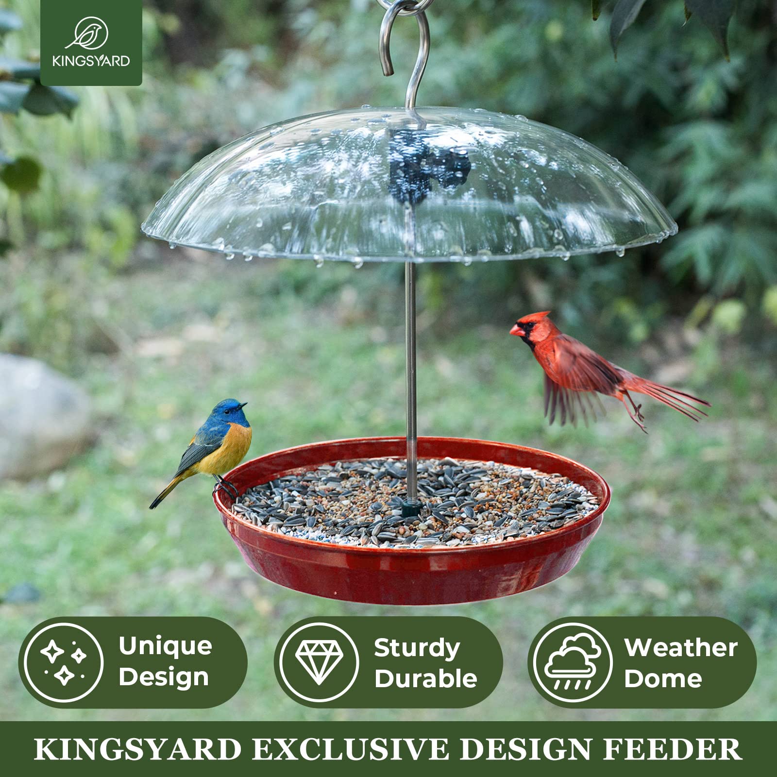 Kingsyard dome-top metal tray feeder offers sturdy support and easy cleaning.