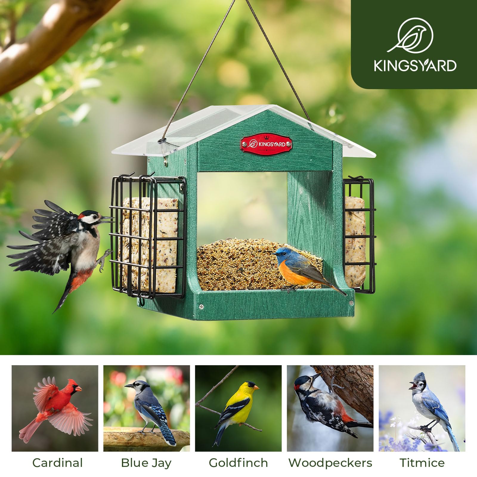 Kingsyard double suet cages enable versatile feeding for various species.