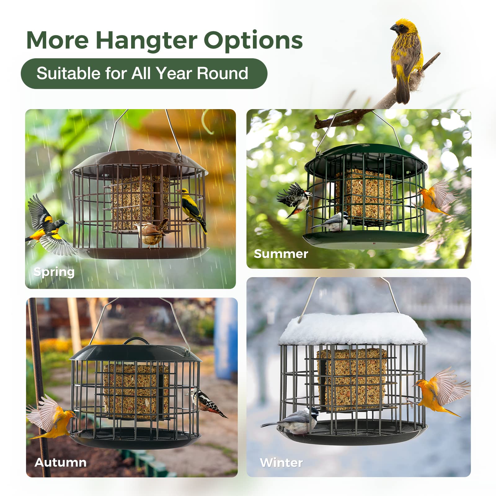 Kingsyard double suet capacity attracts more birds to your yard.