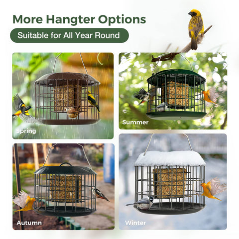 Kingsyard double suet capacity attracts more birds to your yard.