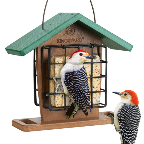 Kingsyard double suet feeder with rainproof roof in green, ideal for year-round backyard birds.