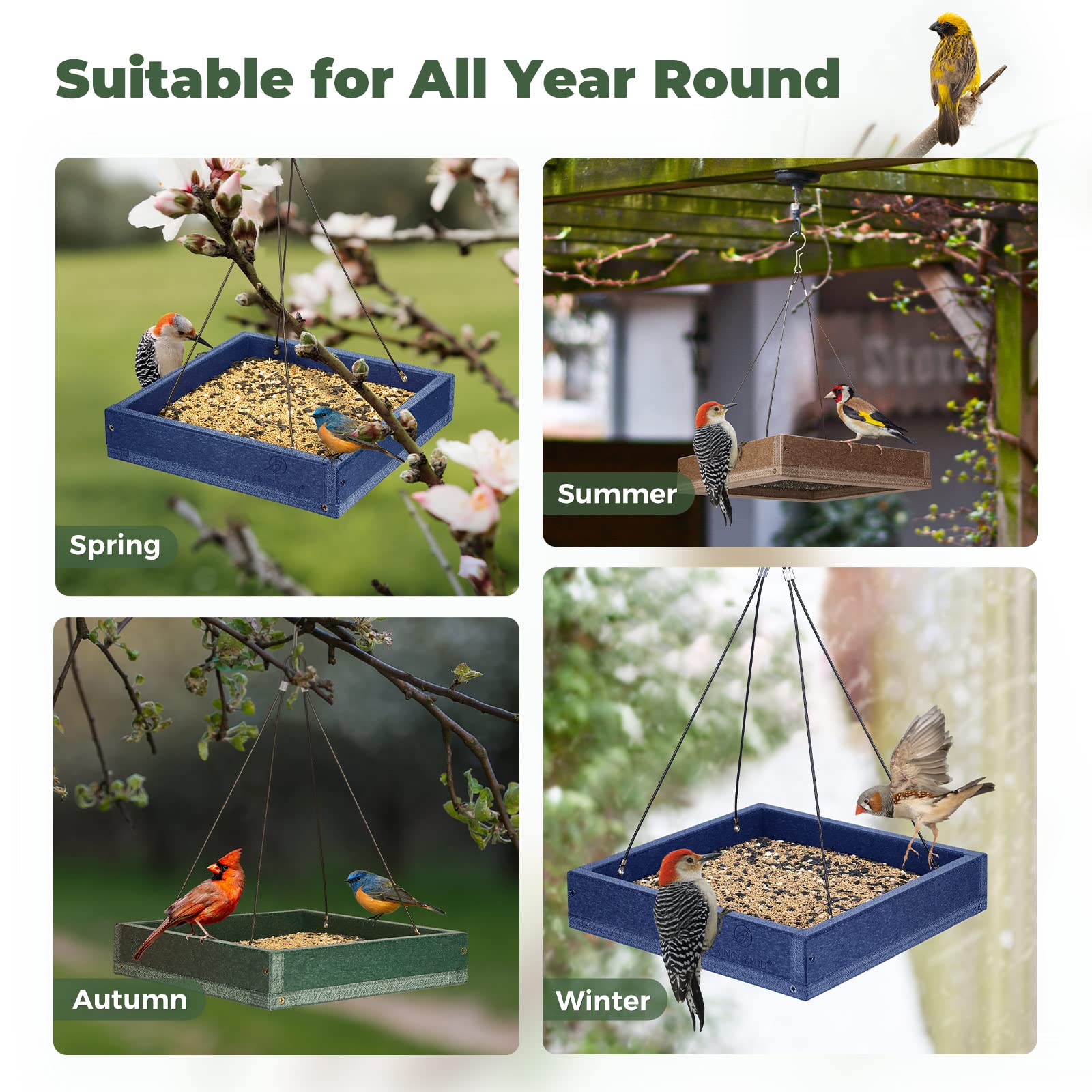 Kingsyard gift-ready bird feeder—perfect for nature-loving family and friends.