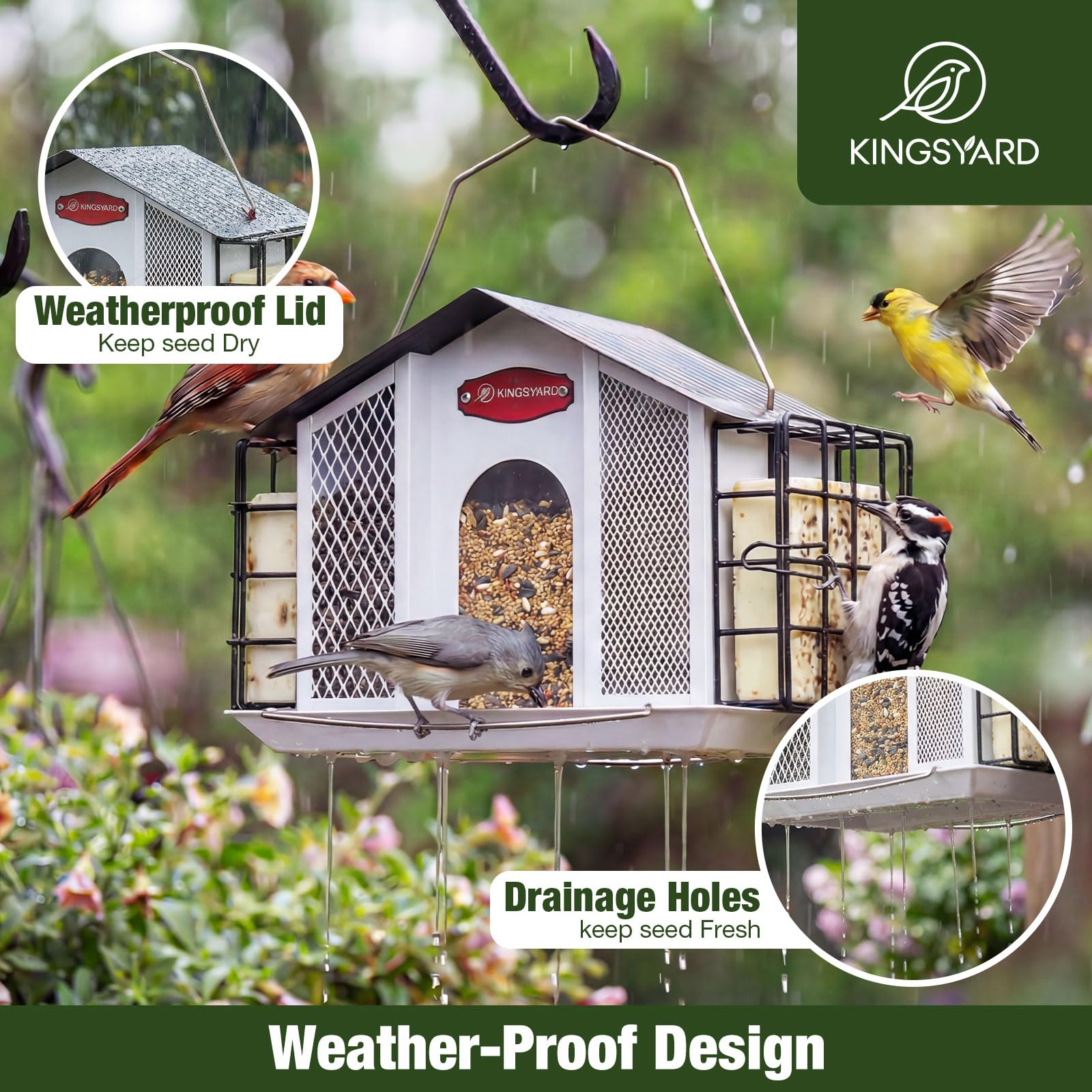 Kingsyard extended perch accommodates large and small birds simultaneously.
