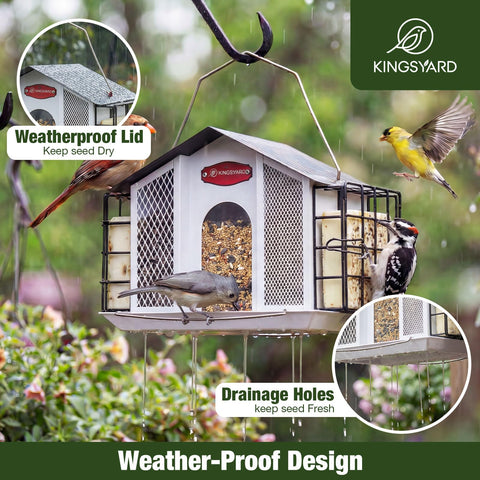 Kingsyard extended perch accommodates large and small birds simultaneously.