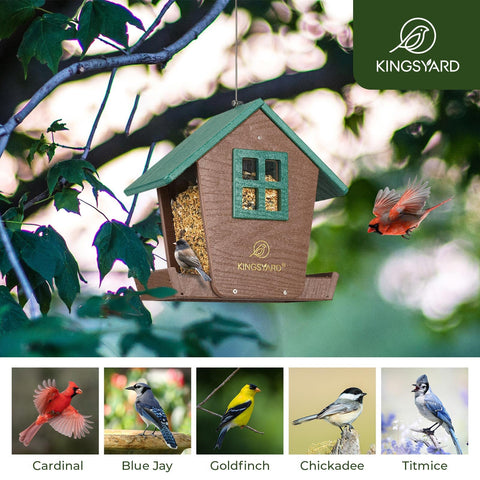 Kingsyard feeder tray with seed-dispensing openings attracts finches and cardinals.