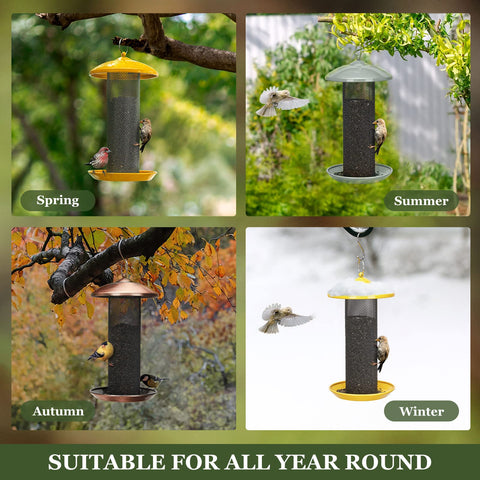 Kingsyard 360 degree seed tray invites several birds to dine together