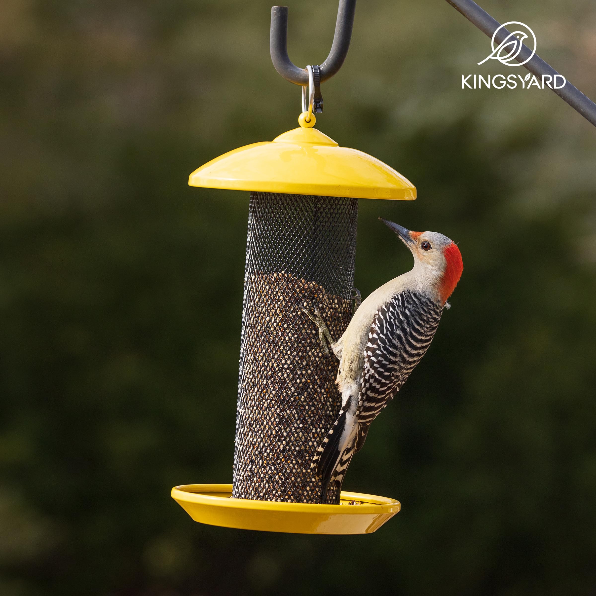 Kingsyard gift idea for bird lovers and gardeners alike