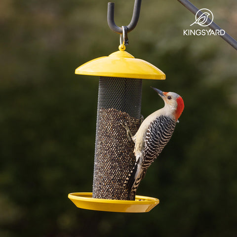 Kingsyard gift idea for bird lovers and gardeners alike