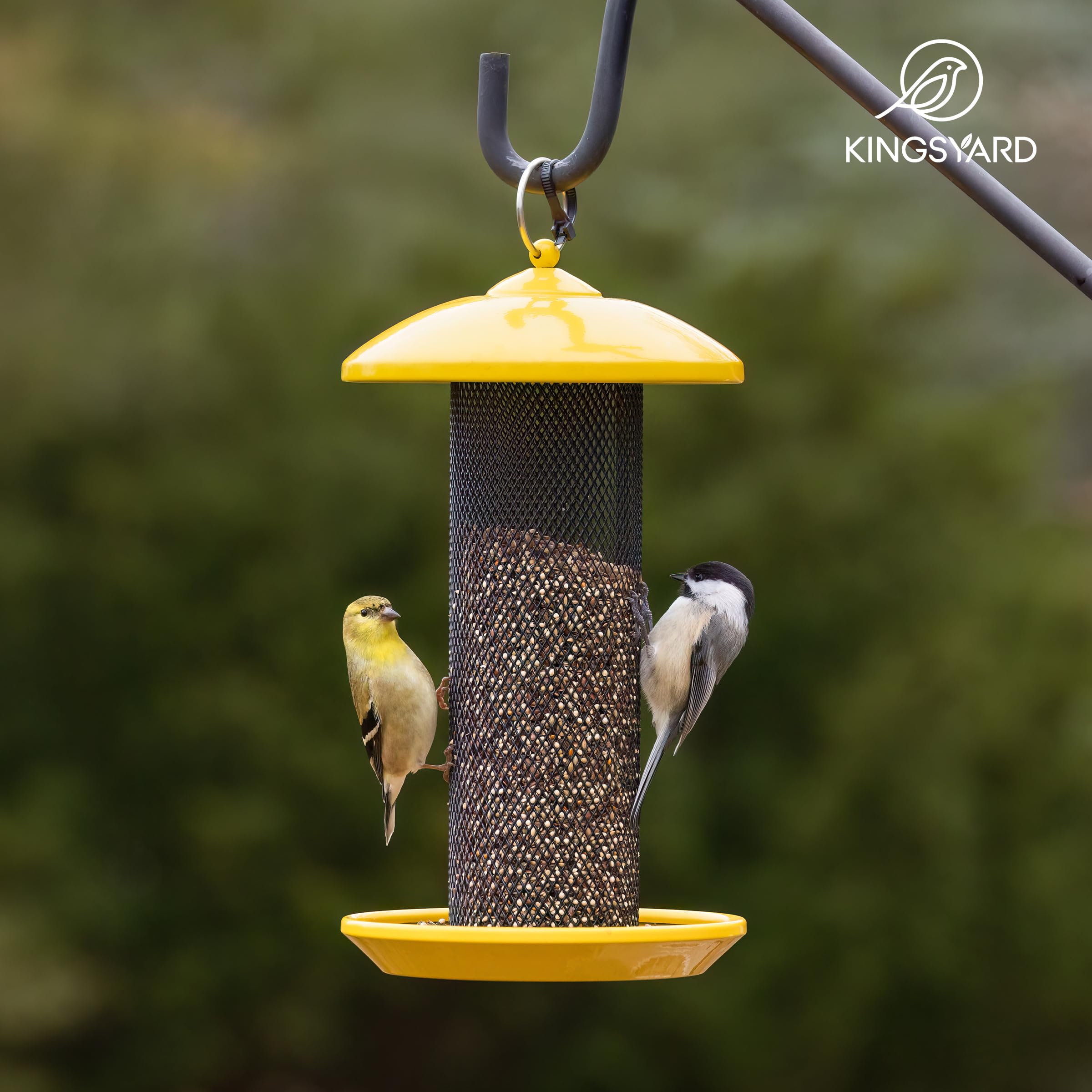 Kingsyard outdoor hanging feeder fits branches and garden spaces