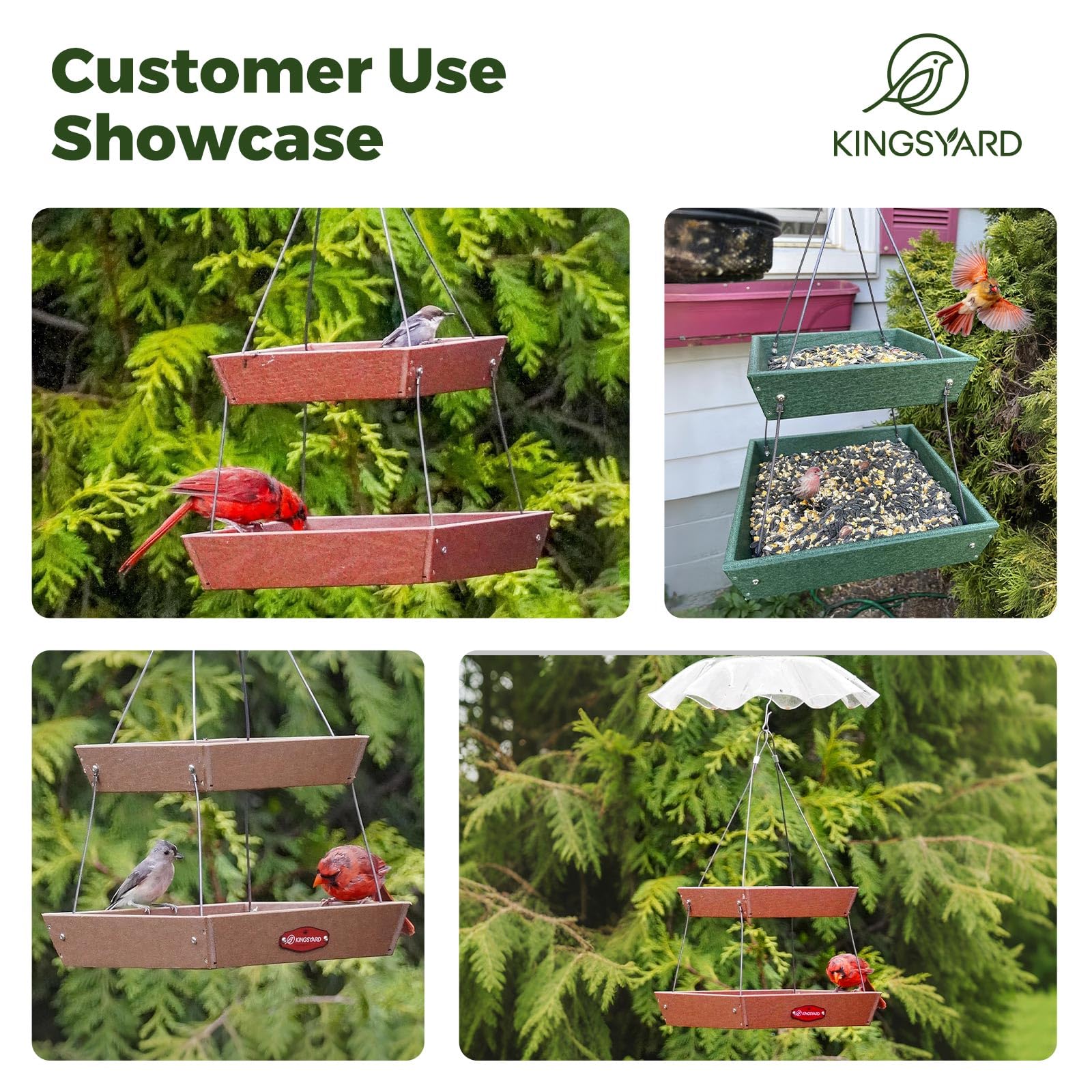 Kingsyard four-chain hanging setup provides stability during bird visits.