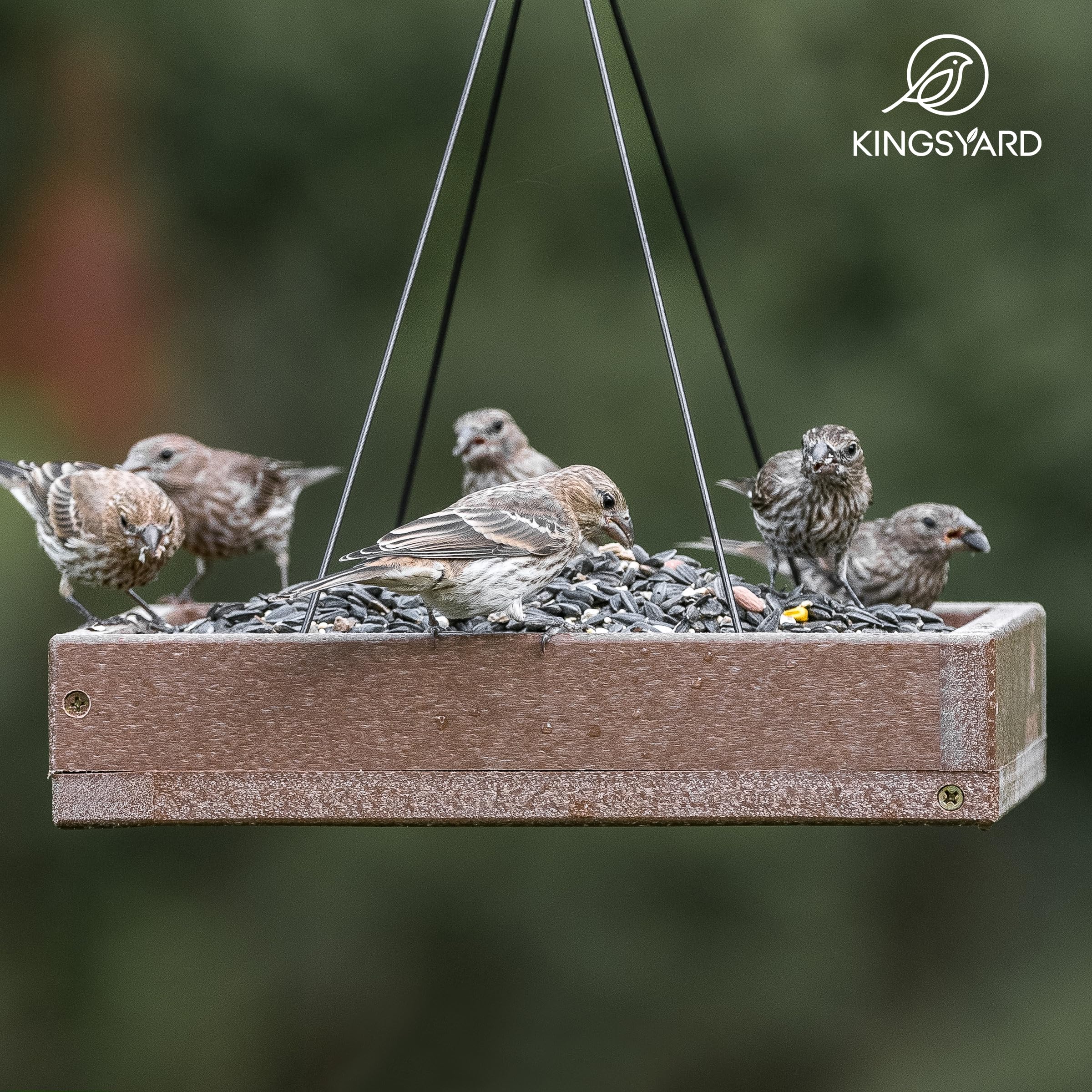 Kingsyard four-chain suspension—ensures stable feeding when birds land.