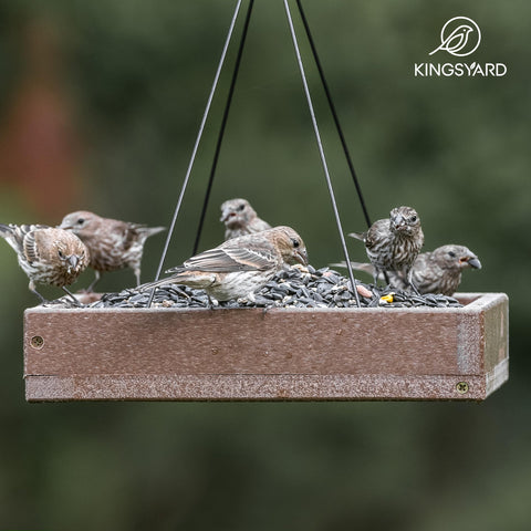 Kingsyard four-chain suspension—ensures stable feeding when birds land.