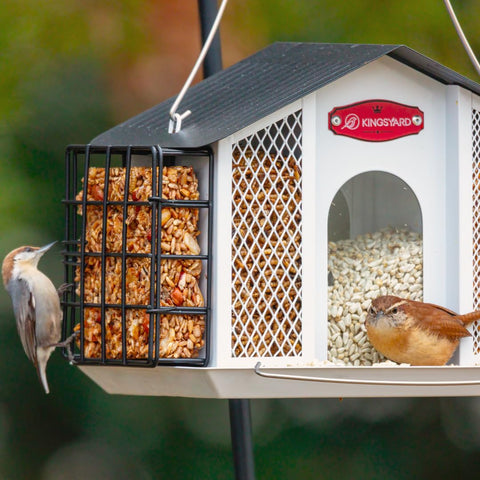 Kingsyard four-pound capacity feeder keeps seeds stocked longer.