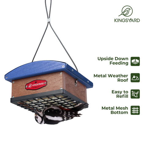 Kingsyard gift-ready bird feeder adds charm to any yard.