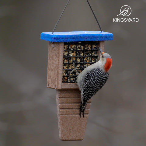 Kingsyard gift-ready bird feeder, ideal for bird lovers and families