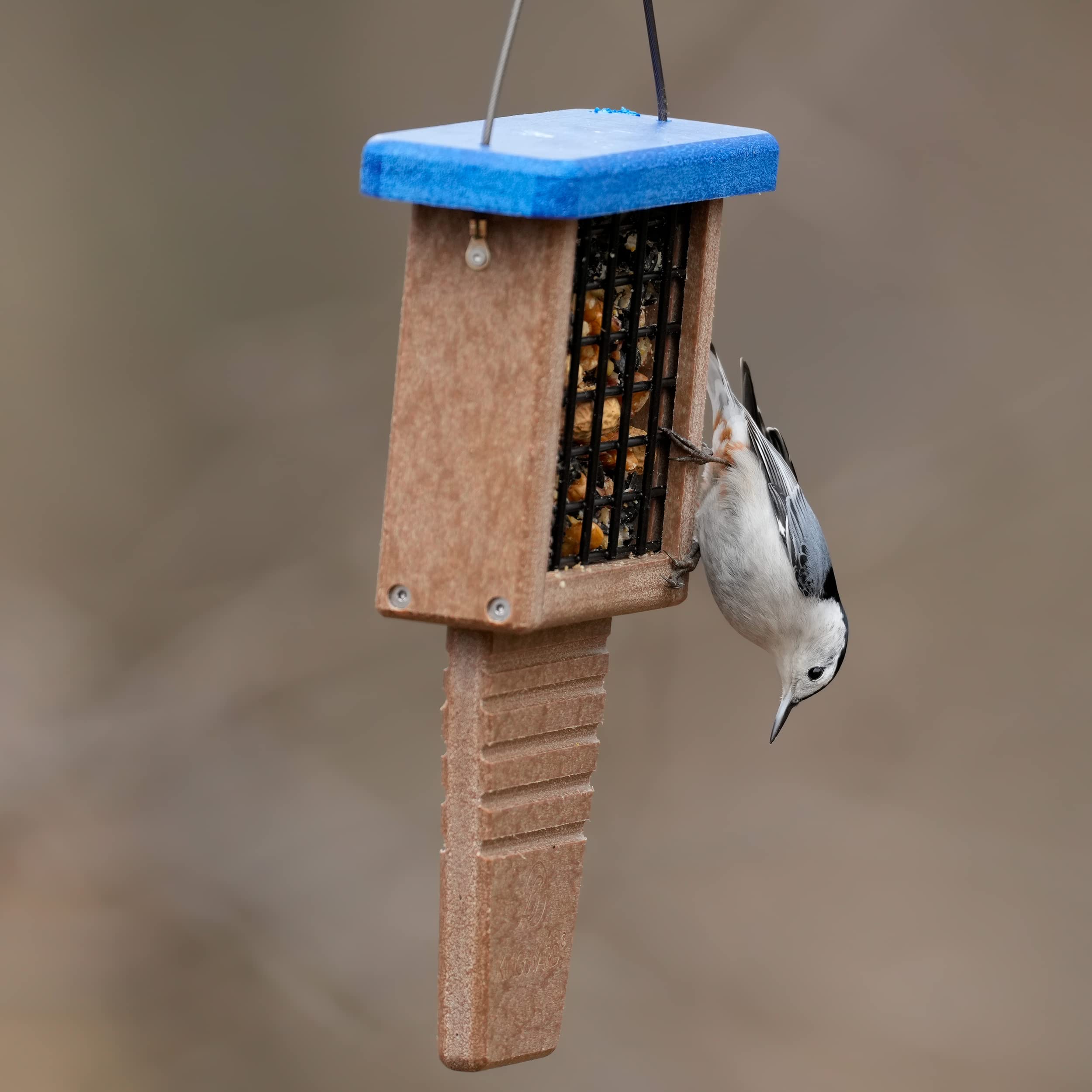 Kingsyard gift-ready-suet-feeder appeals to bird lovers and gardeners.