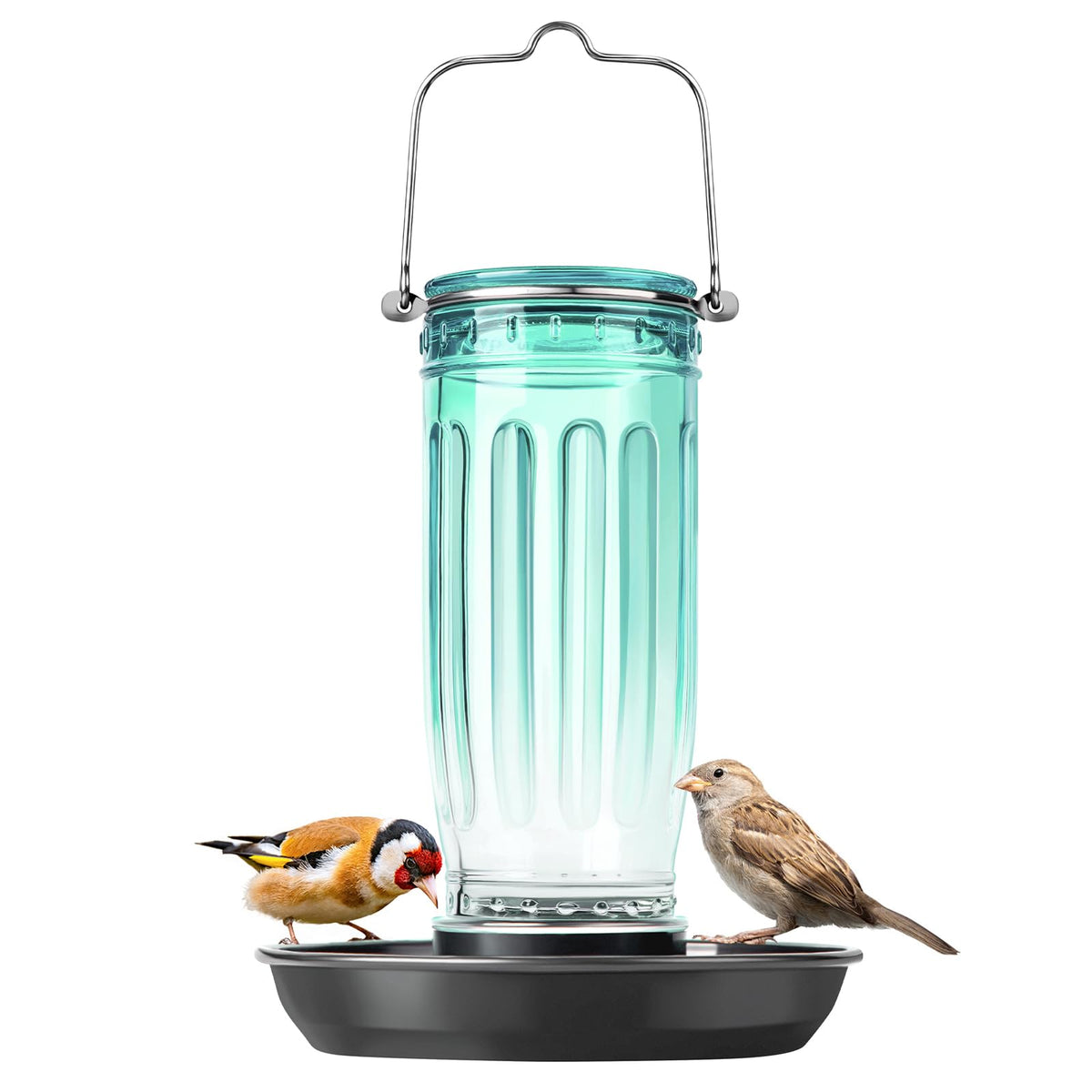 Kingsyard glass bird water dispenser in green, enticing small birds to drink and visit.