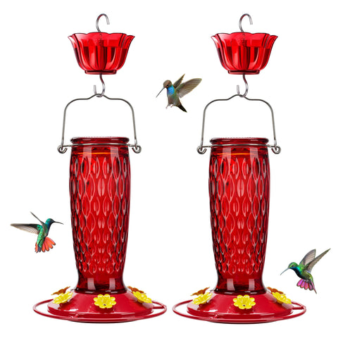 Kingsyard glass hummingbird feeder with 6 ports and vivid color attracts hummingbirds