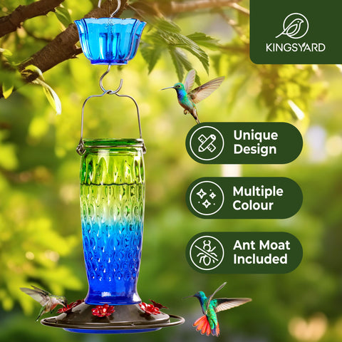 Kingsyard glass hummingbird feeder shows six ports for shared nectar visits
