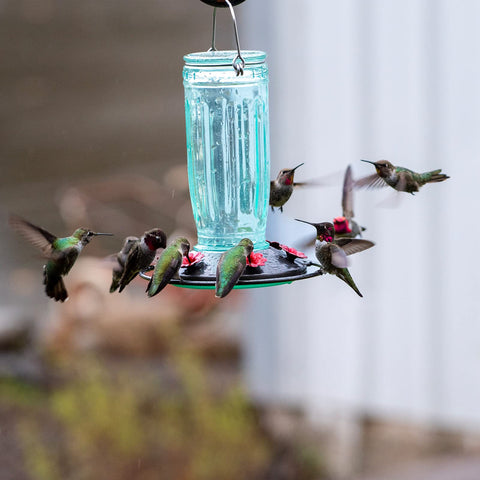 Gift-ready Kingsyard feeder enhances garden decor and bird watching