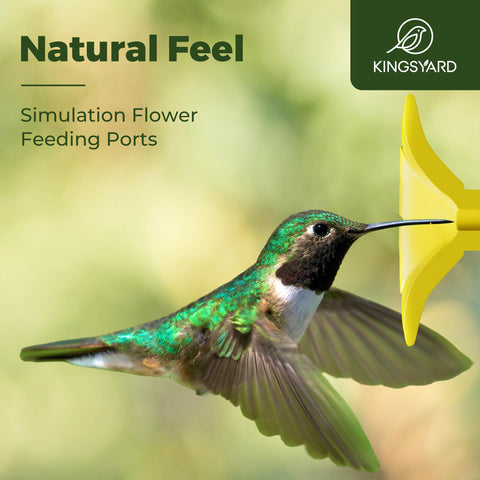 Kingsyard glass feeder is a thoughtful outdoor gift for bird lovers
