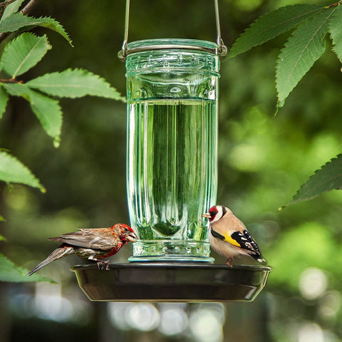 Kingsyard green glass water dispenser enhancing garden aesthetics.